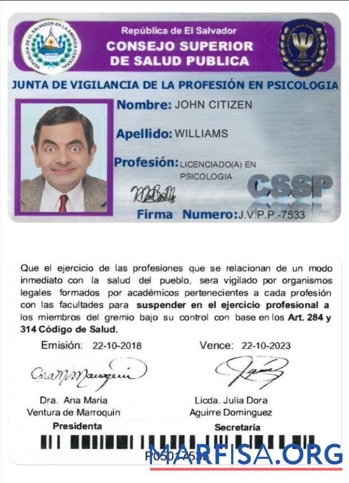 Printable El Salvador public health council (consejo superior de salud pública) sample